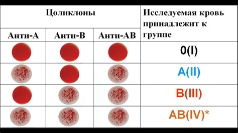 Аккорды группы крови