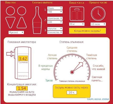 Алкогольный калькулятор онлайн для водителей