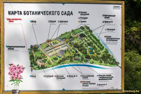 Ботанический сад киров официальный сайт