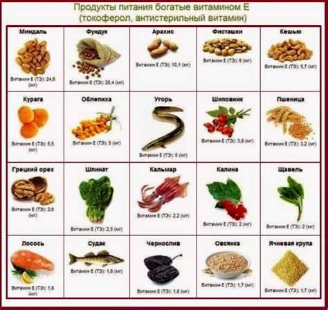 В каких продуктах находится витамин е