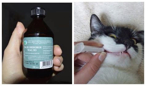 Вазелиновое масло кошке при запоре