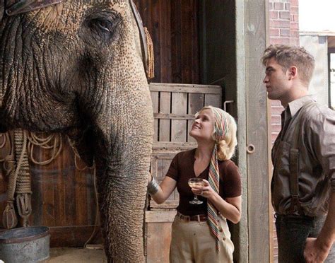 Воды слонам фильм 2011 смотреть онлайн в хорошем качестве бесплатно