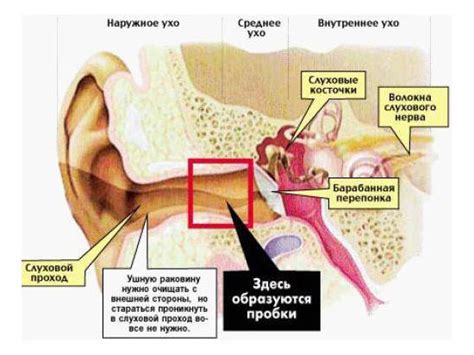 Воспаление уха симптомы