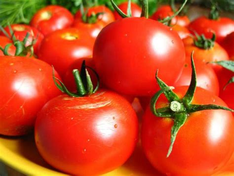 Все о помидорах выращивание от а до я