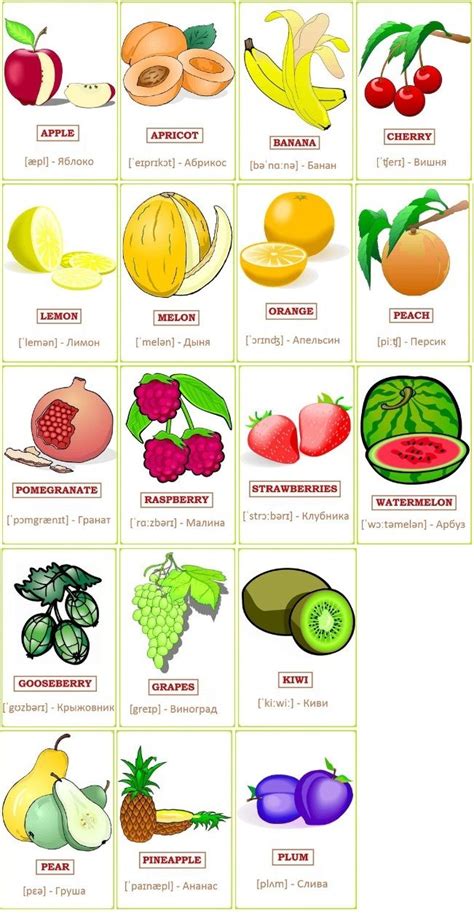 Все фрукты на английском