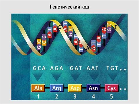 Генетический код его свойства