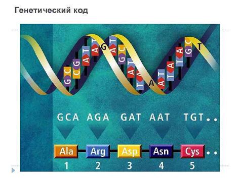 Генетический код его свойства