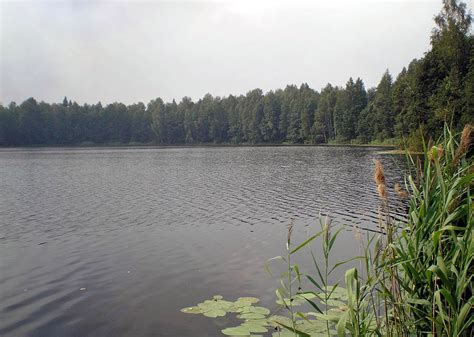Женское озеро в марий эл