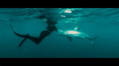 Заклинательница акул фильм 2012 смотреть онлайн в хорошем качестве