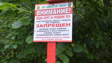 Запреты на посещение лесов