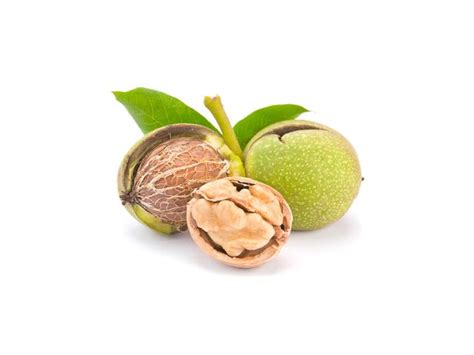 Зеленые грецкие орехи применение