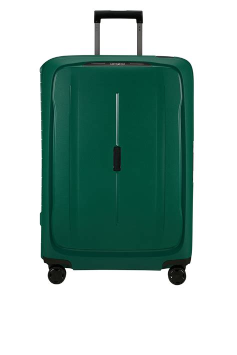 Зеленый чемодан текст