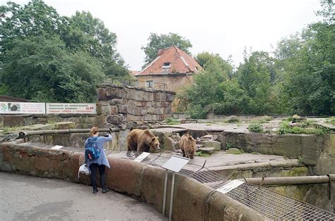 Зоопарк в калининграде режим работы и цены 2022