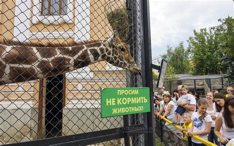 Зоопарк москва официальный