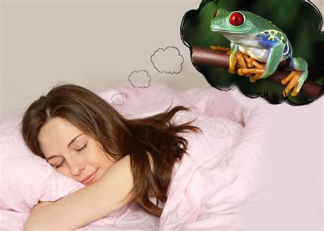 К чему снится лягушка во сне для женщины