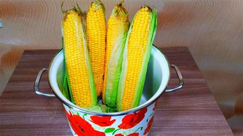 Как варить кукурузу в початках в кастрюле правильно домашних условиях рецепт приготовления