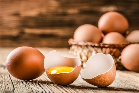 Как вводить яйцо в прикорм