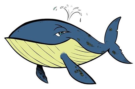 Как взрывается кит