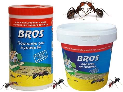Как вывести муравьев с грядки