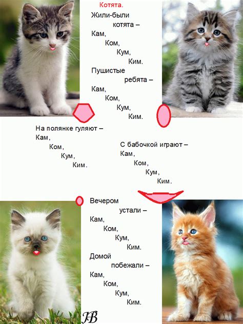 Как зовут котов минхо