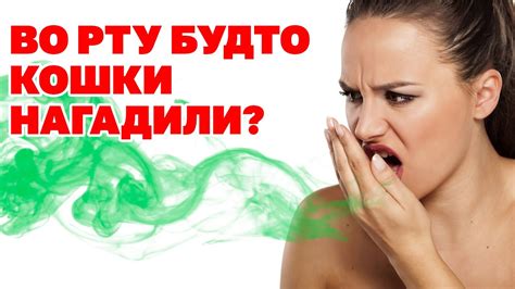 Как избавиться от запаха изо рта у человека