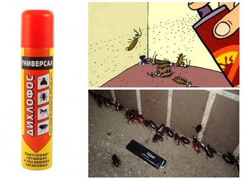 Как потравить тараканов в квартире