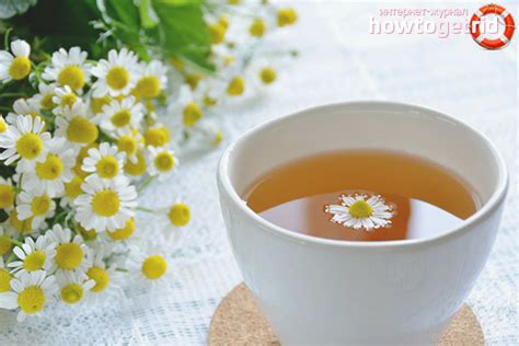 Как приготовить ромашковый чай в домашних условиях
