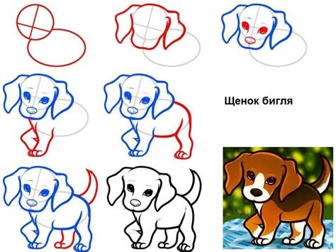 Как рисовать собачку