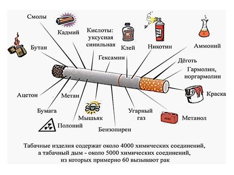 Какие токсичные вещества входят в состав табачного дыма обж
