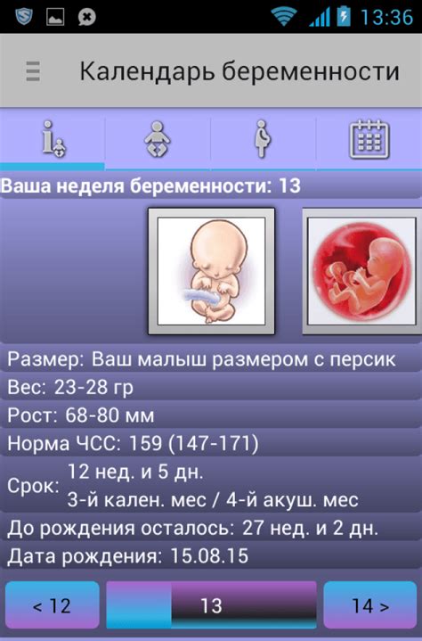 Календарь беременности приложение