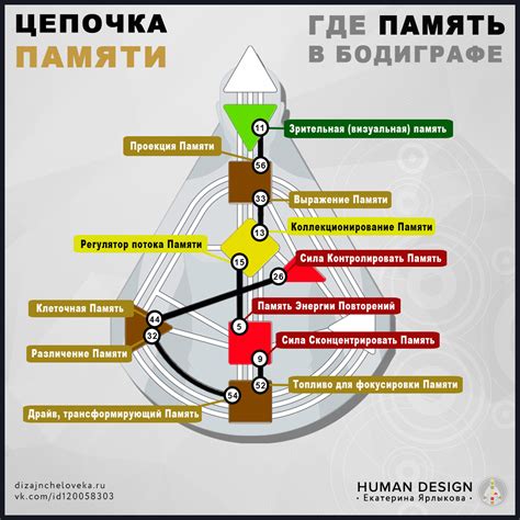 Карта дизайн человека