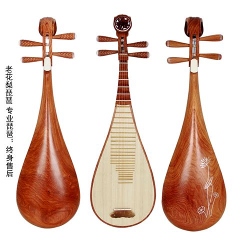 Китайский струнный инструмент