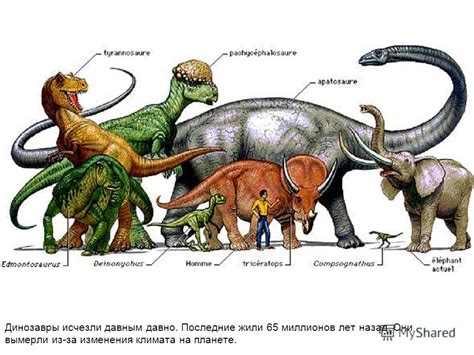 Когда вымерли динозавры сколько лет назад