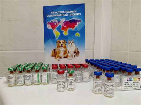 Комплексная вакцина для собак