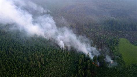Космоснимки лесных пожаров на дальнем востоке