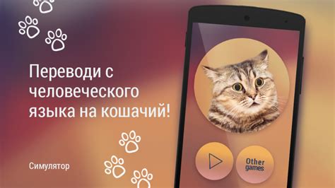 Кошачий переводчик с русского на кошачий без скачивания