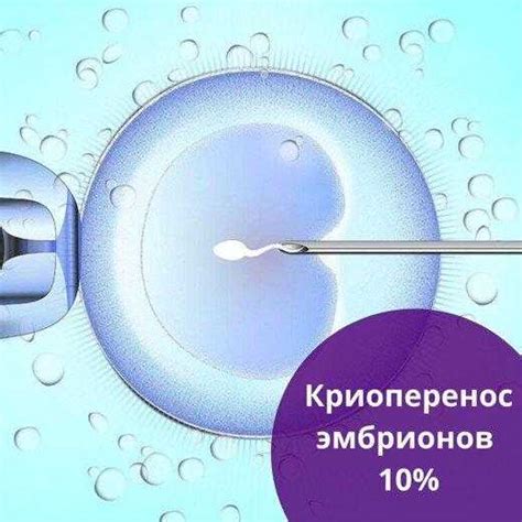 Криоперенос эмбрионов