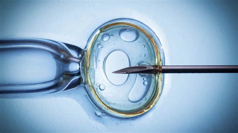 Криоперенос эмбрионов