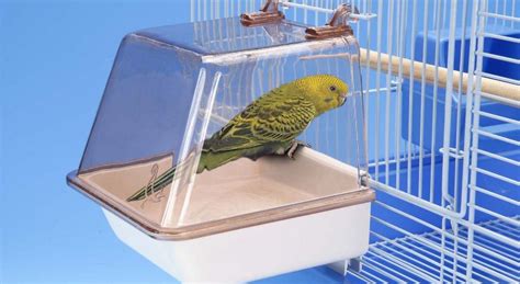 Купалка для попугая