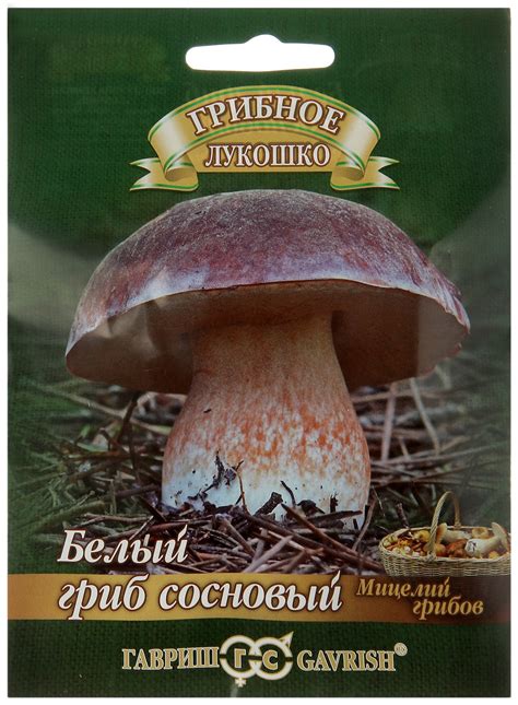 Купить мицелий грибов
