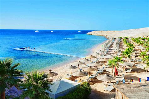 Курорты египта на средиземном море