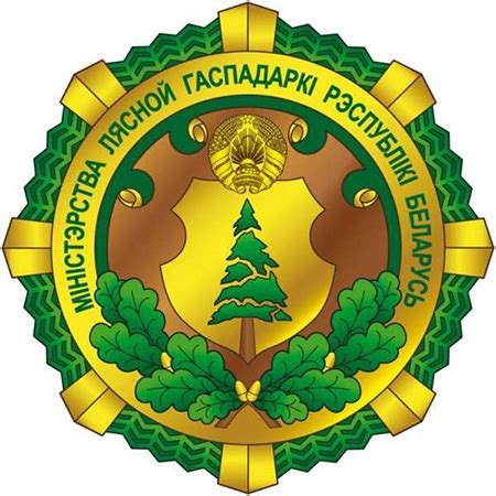 Министерство лесного хозяйства приморского края