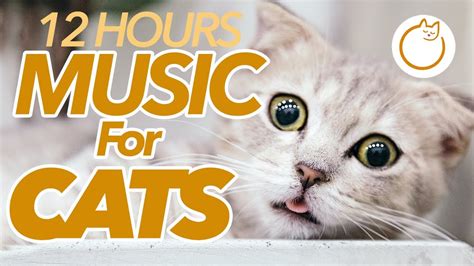 Музыка для кошек
