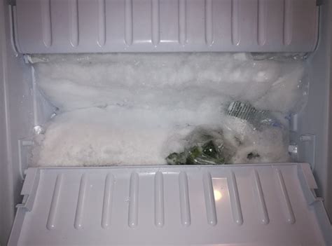 Надо ли размораживать холодильник с ноу фрост