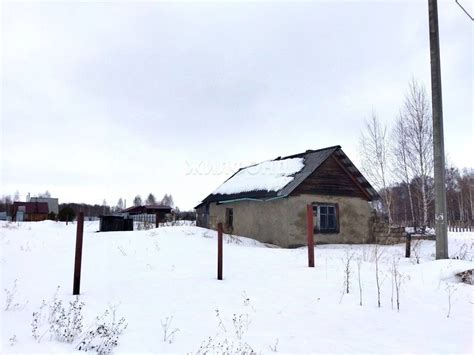 Новосибирский район село боровое якорь