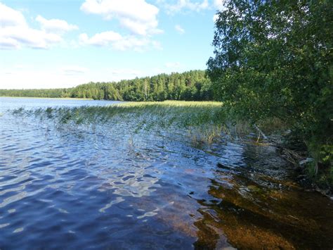 Озеро высокинское ленинградская область