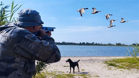 Открытие охоты в волгоградской области осень 2022 на утку