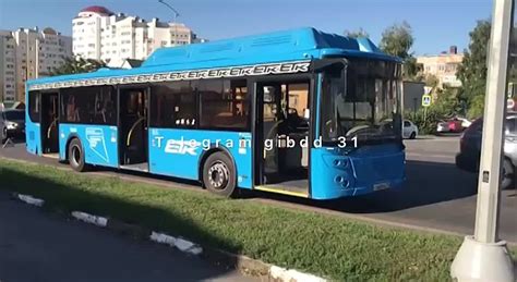 Отследить автобус белгород