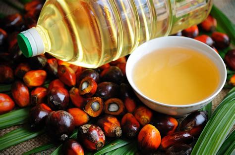 Пальмовое масло из чего производят
