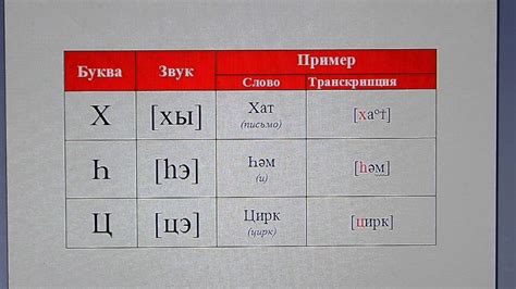 Переводчик на татарский язык